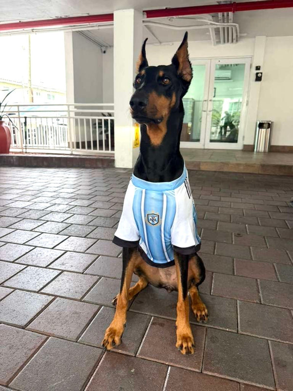 Pawpacito dog jersey