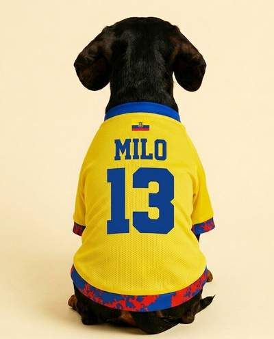 Jersey